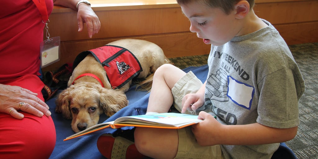 Dig Into Reading with Dug the Therapy Dog 1